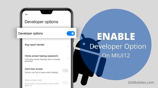 How-to-Enable-Developer-Option