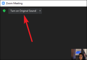 how-to-enable-sound-in-zoom-meeting