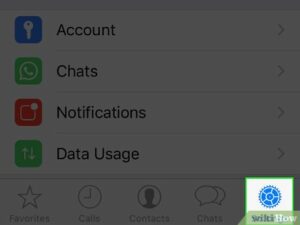 how-to-enable-download-option-in-whatsapp