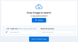 how-to-search-using-image
