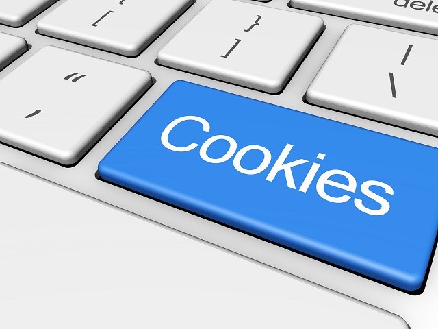 Enable-Cookies-To-Use-WordPress