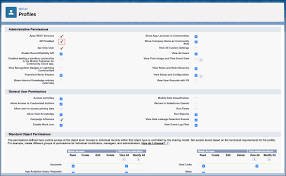 how-to-enable-api-access-in-salesforce