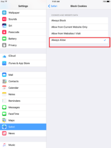 how-to-enable-cookies-on-iphone-12
