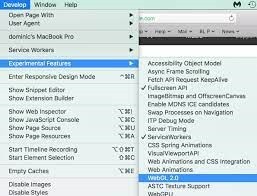 how-do-i-enable-webgl-2-0-in-safari