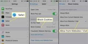 how-do-you-allow-cookies-on-iphone