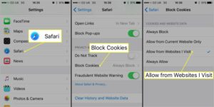 how-do-i-enable-cookies-on-my-iphone-2024