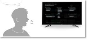 how-to-activate-voice-control-on-sony-tv