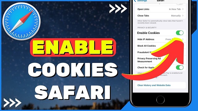 Enable-cookies-in-web-browser-safari