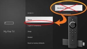 how-to-enable-developer-options-on-firestick