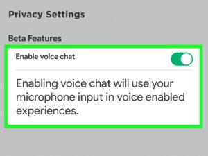 how-to-get-voice-chat-on-roblox
