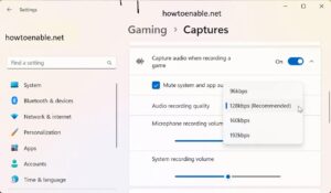 how-to-enable-screen-recording-in-windows-11