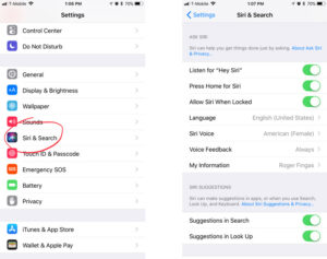 how-to-enable-siri-voice